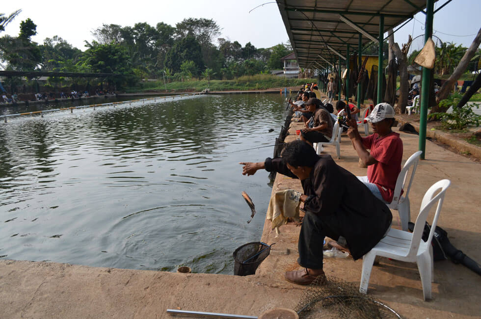 5 Langkah Mancing Sukses Di Pemancingan Nila